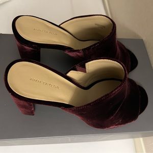 NIB Ann Taylor Hayden Velvet Heeled Mule, Sz 7.5